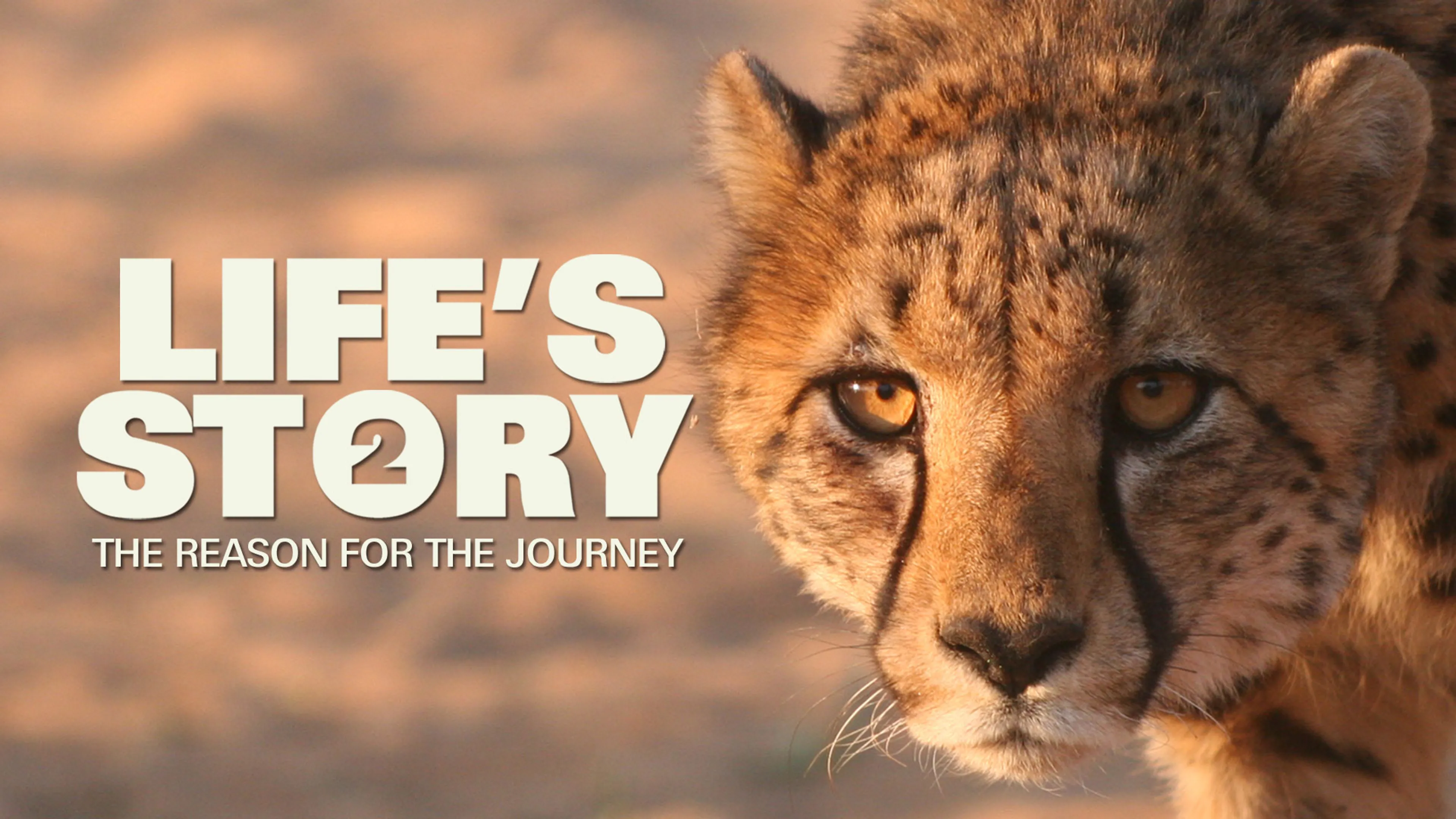 Life's Story 2: The Reason For The Journey poster